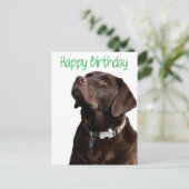 Happy Birthday Labrador Retriever Dog Post Card Postkarte (Stehend Vorderseite)