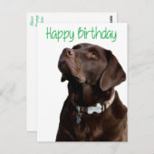 Happy Birthday Labrador Retriever Dog Post Card Postkarte (Vorne/Hinten)