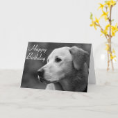 Happy Birthday Labrador Retriever Puppy Card Karte (Gelbe Blume)