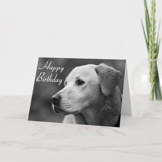 Happy Birthday Labrador Retriever Puppy Card Karte (Vorderseite)