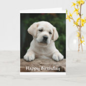 Happy Birthday Labrador Retriever Puppy Card Karte (Gelbe Blume)
