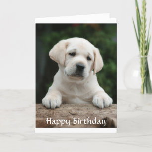 Happy Birthday Labrador Retriever Puppy Card Karte