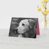 Happy Birthday Labrador Retriever Puppy Card Karte (Gelbe Blume)
