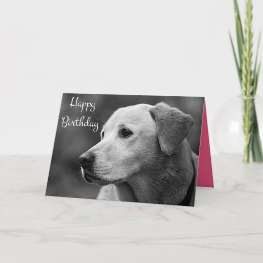 Happy Birthday Labrador Retriever Puppy Card Karte (Vorderseite)