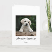 Happy Birthday Labrador Retriever Puppy Card Karte (Rückseite)