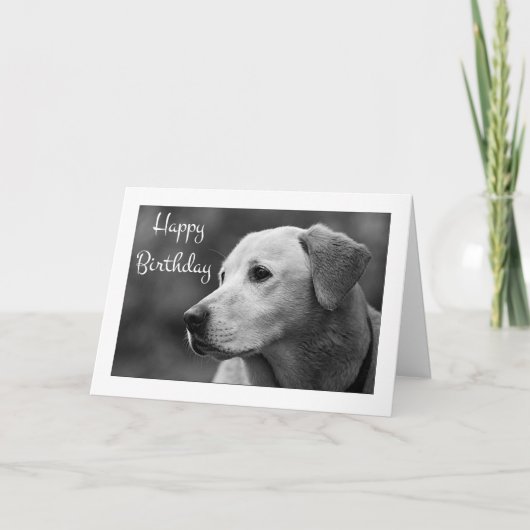 Happy Birthday Labrador Retriever Puppy Card Karte (Vorderseite)
