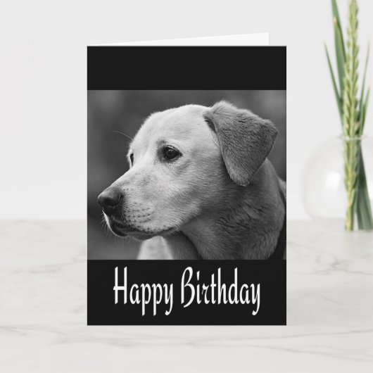 Happy Birthday Labrador Retriever Puppy Dog Black Karte (Vorderseite)