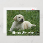 Happy Birthday Labrador Retriever Puppy Post Card Postkarte (Vorne/Hinten)