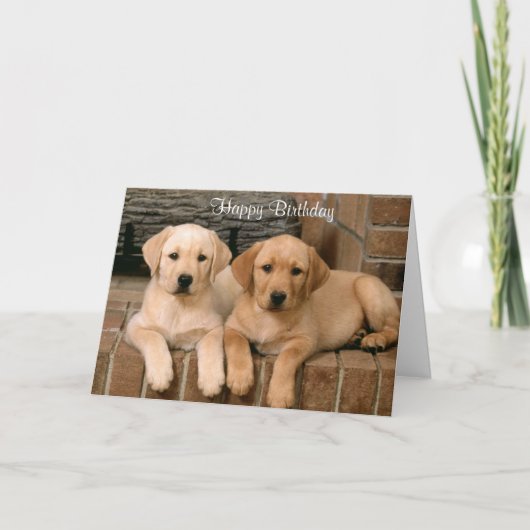 Happy Birthday Labrador Retriever Welpen Card Karte (Vorderseite)