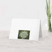 Happy Birthday Lace Karte (Rückseite)