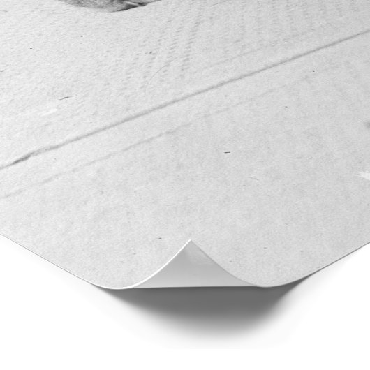 Happy Birthday Laddie Boy, 20 Jahre Poster (Ecke)