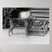 Happy Birthday Laddie Boy, 20 Jahre Poster (Vorne)