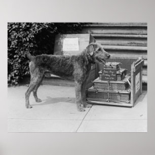 Happy Birthday Laddie Boy, 20 Jahre Poster