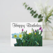 Happy Birthday Large Cupped Daffodil #2 Postcard Postkarte (Stehend Vorderseite)