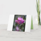 Happy Birthday Lavender Rose Card Karte (Rückseite)
