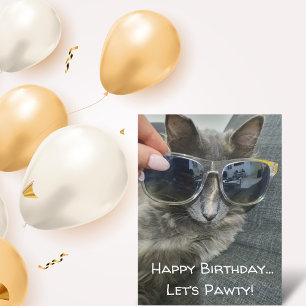 "happy birthday let's pawty" funny cat photo chic postkarte
