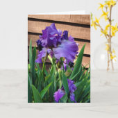 Happy Birthday | Lila Iris Karte (Gelbe Blume)