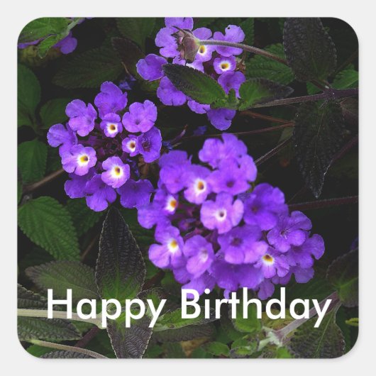 Happy Birthday Lila Trailing Lantana #1 Stickers (Vorderseite)