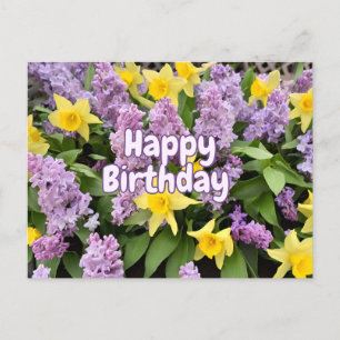 Happy Birthday Lilac Blume und gelbe Affodien Postkarte