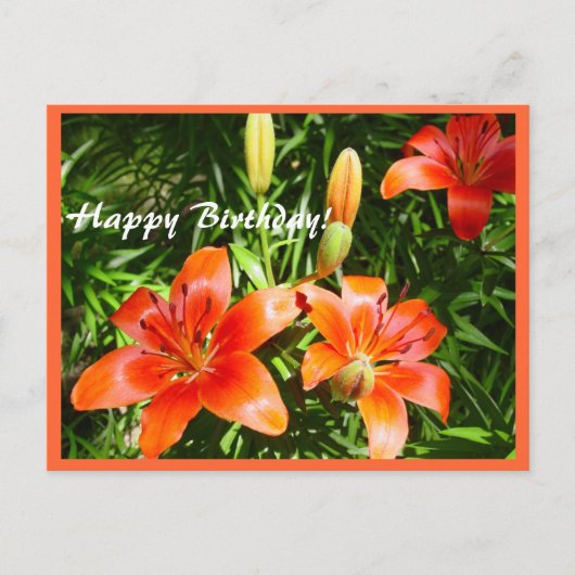 Happy Birthday Lilies Postkarte (Vorderseite)