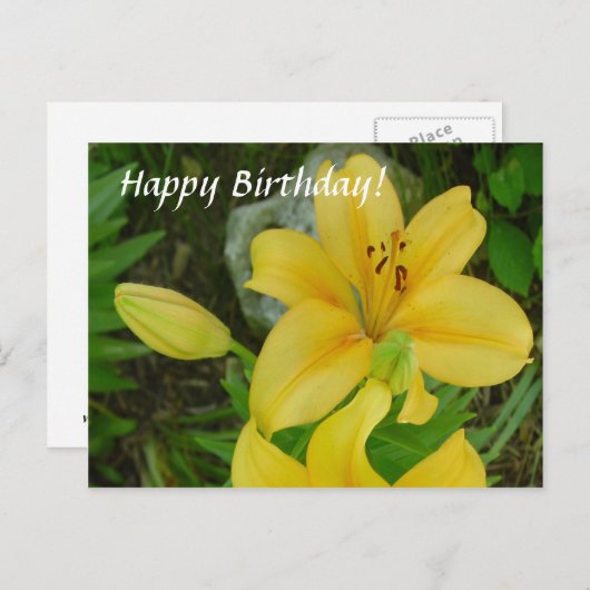 Happy Birthday Lily Postkarte (Vorne/Hinten)