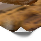 Happy Birthday Lion - Congratulations -  Poster (Ecke)