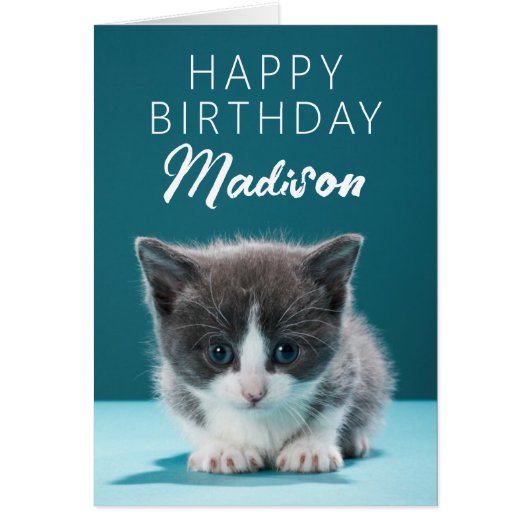 Happy Birthday | Little Kitten (Vorne)