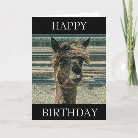 Happy Birthday Llama - Geburtskarte Karte (Vorderseite)