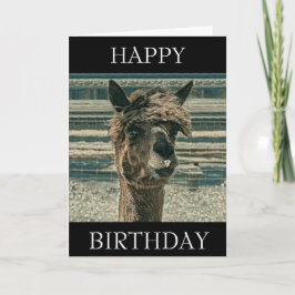 Happy Birthday Llama - Geburtskarte Karte