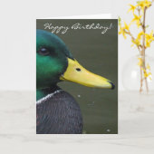 Happy Birthday Mallard Duck Karte (Gelbe Blume)