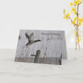 Happy Birthday Mallard Duck Karte (Gelbe Blume)