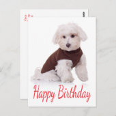 Happy Birthday Maltese Puppy Dop Card Postkarte (Vorne/Hinten)