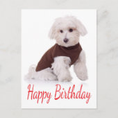 Happy Birthday Maltese Puppy Dop Card Postkarte (Vorderseite)