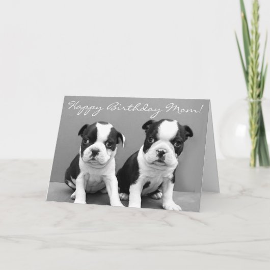 Happy Birthday Mama Boston Terrier Welpen Card Karte (Vorderseite)