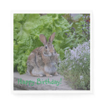 Happy Birthday Mama Bunny