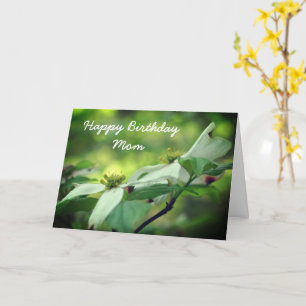 Happy Birthday Mama Dogwood Blume Card Karte