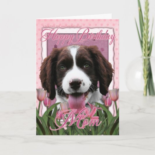Happy Birthday Mama - English Springer Spaniel Karte (Vorderseite)