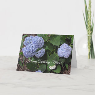Happy Birthday Mama, Hübscher Lila Hibiskus Karte