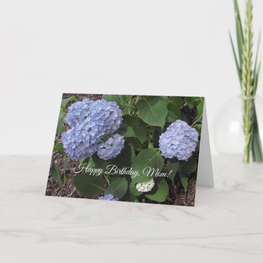 Happy Birthday Mama, Hübscher Lila Hibiskus Karte (Vorderseite)