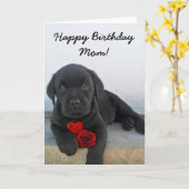 Happy Birthday Mama Labrador Retriever card Karte (Gelbe Blume)