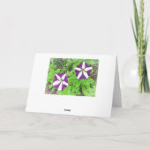 Happy Birthday Mama Lila Petunias Karte (Rückseite)