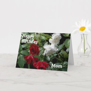 Happy Birthday Mama Rote Rosen Blume Karte