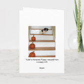 Happy Birthday Mama - Welpen und Pumas Havanese Karte (Rückseite)