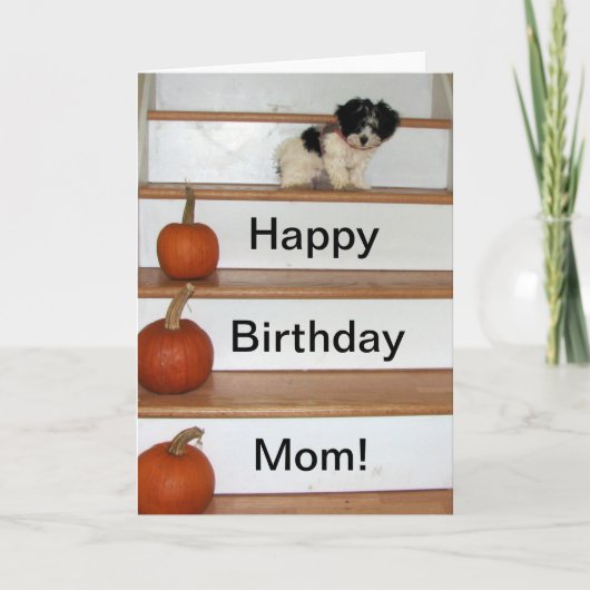 Happy Birthday Mama - Welpen und Pumas Havanese Karte (Vorderseite)