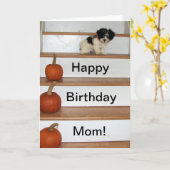 Happy Birthday Mama - Welpen und Pumas Havanese Karte (Gelbe Blume)