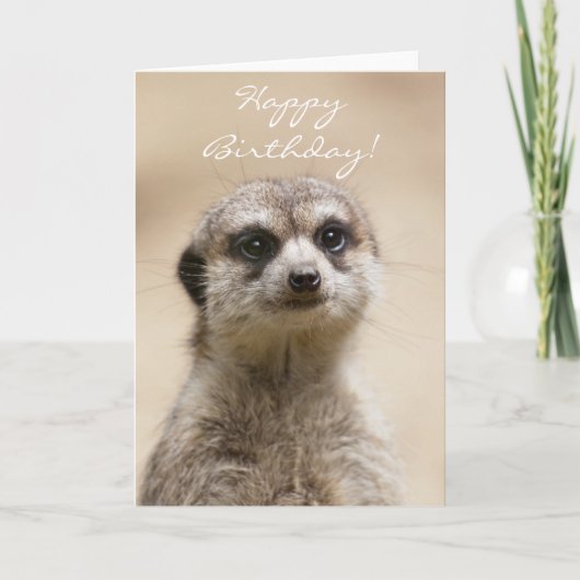 Happy Birthday Meerkat Karte (Vorderseite)