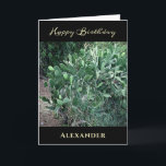Happy Birthday Men Vater Natalize Karte<br><div class="desc">Alles Gute zum Geburtstag Männer Vater Natur Persönliche Grußkarte für diesen besonderen Mann oder Vater in Ihrem Leben. Es hat eine Touch der Natur. Personalisieren Sie es mit Ihren Informationen. Foto Copyright Denise Bennerson,  Fotograf</div>