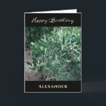 Happy Birthday Men Vater Natalize Karte<br><div class="desc">Alles Gute zum Geburtstag Männer Vater Natur Persönliche Grußkarte für diesen besonderen Mann oder Vater in Ihrem Leben. Es hat eine Touch der Natur. Personalisieren Sie es mit Ihren Informationen. Foto Copyright Denise Bennerson,  Fotograf</div>