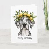 Happy Birthday Merle Great Dane Dog Lemon Crown Karte (Vorderseite)