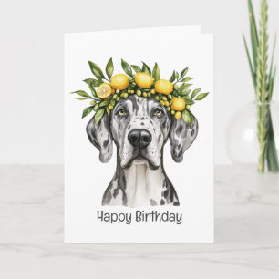 Happy Birthday Merle Great Dane Dog Lemon Crown Karte